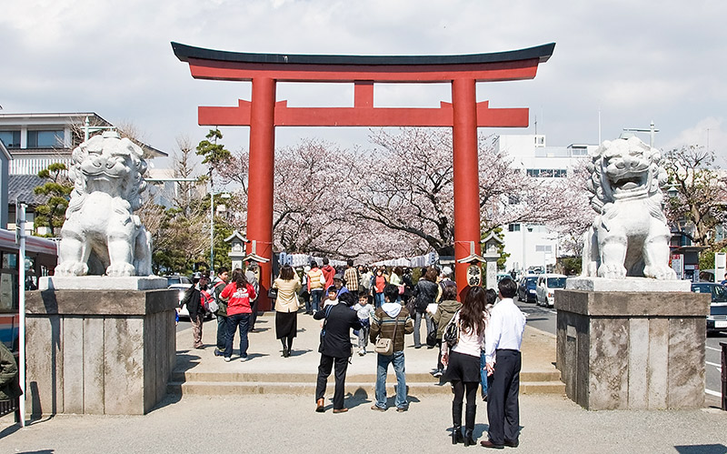 a crowd of people visiting a japanese shrine in spring