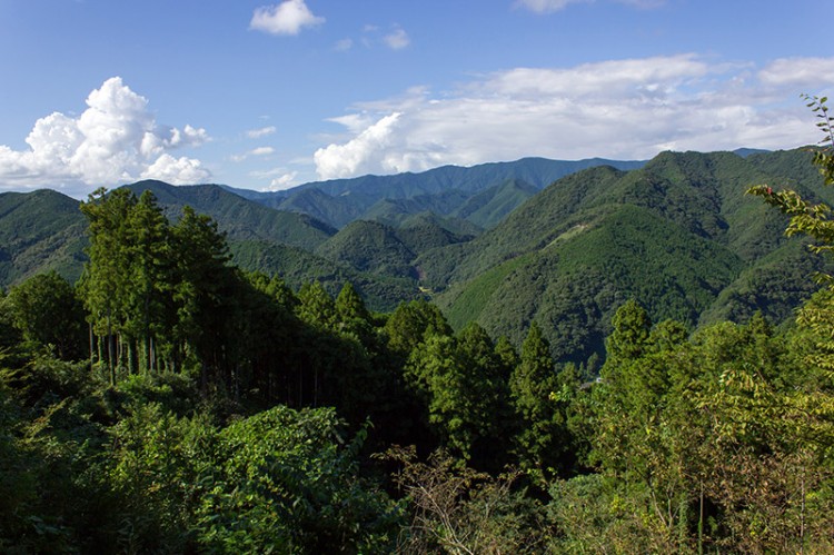 View at treetop level of hills in Japan