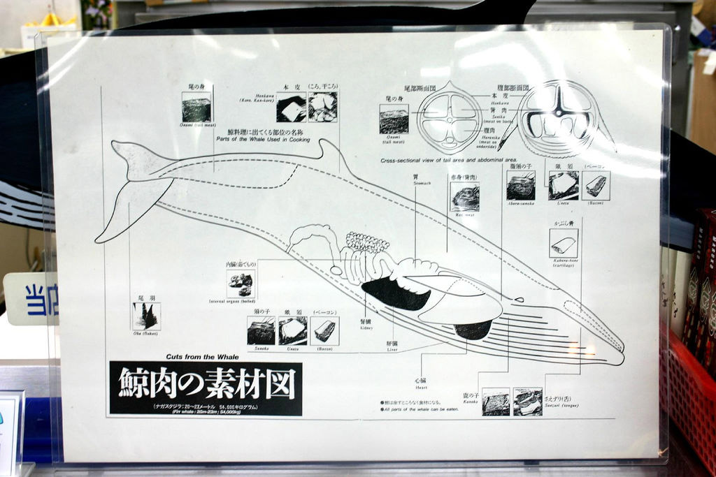 A poster detailing parts of whale meat