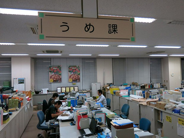 desks inside a Japanese office