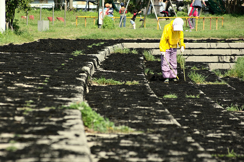 hijiki seaweed drying traditional japan