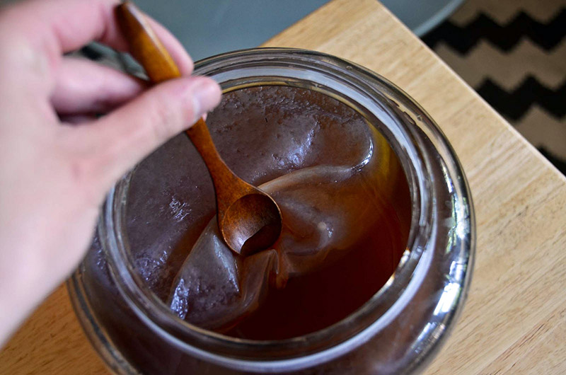 kelp in a jar not kombucha