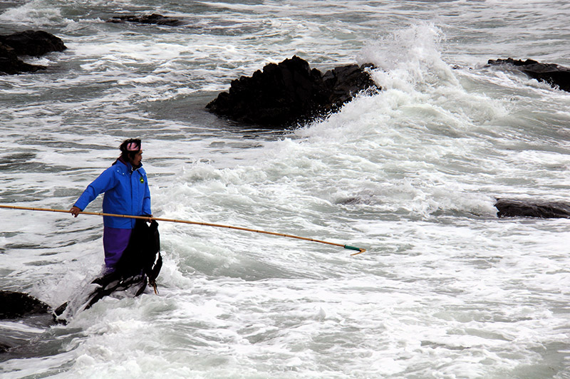 man fishing nori in present day japan