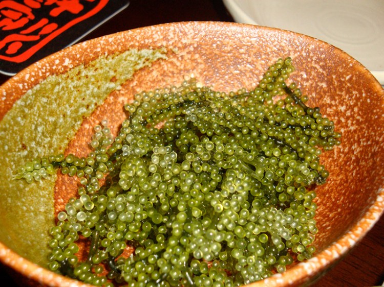 umi budou sea grapes seaweed okinawa specialty