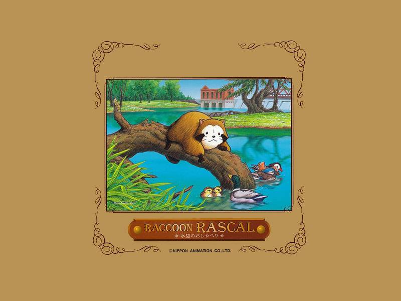 Book cover showing Raccoon Rascal