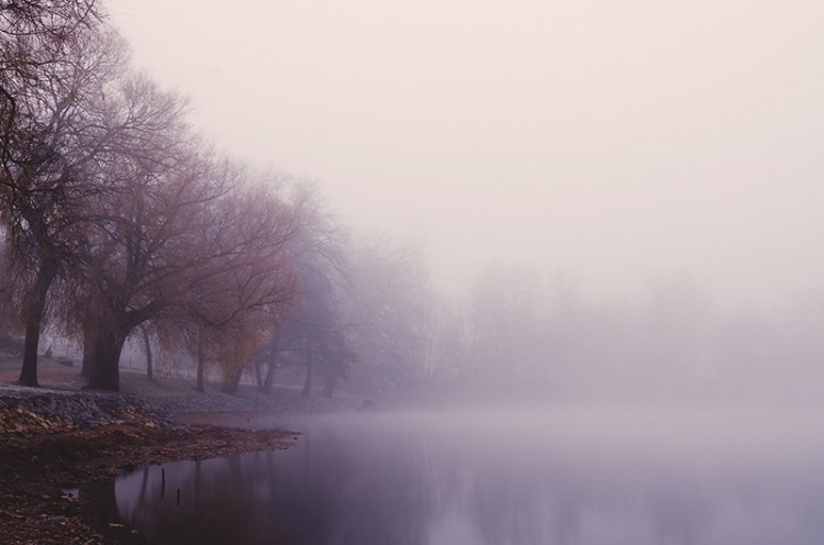 foggy morning river