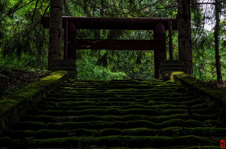 mossy torii