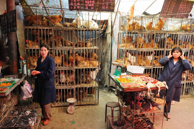 two women standing with cages of chickens in China