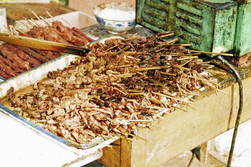 grilled kebab sparrow meat market beijing