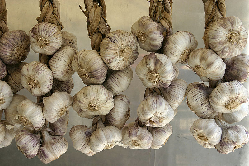 dried garlic hanging in bunches china unsafe food