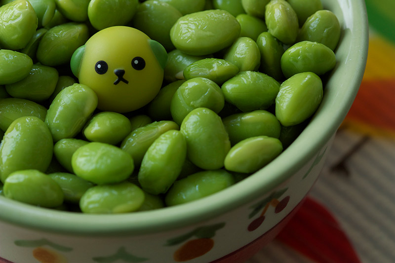 Mameshiba in a bowl of edamame