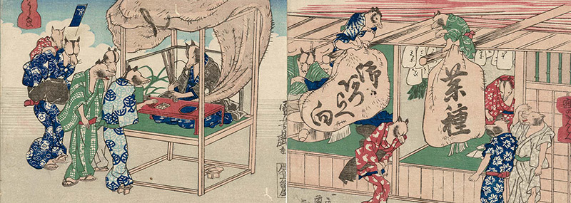 tanuki in kimono art