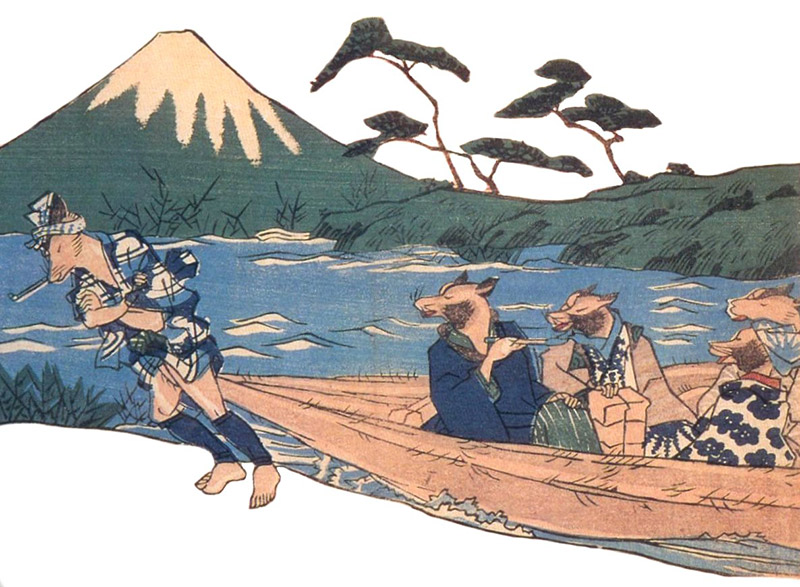 tanuki using its balls to drag other tanuki across a river