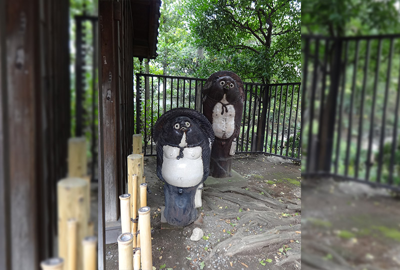 tanuki statues at a temple