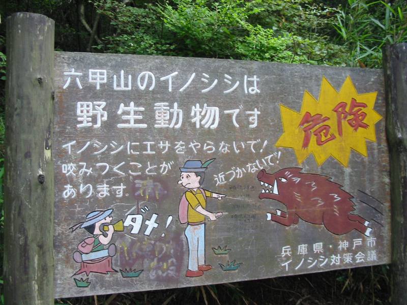 A Japanese warning sign about inoshishi