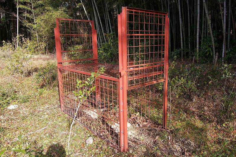 Boar cage in the forest