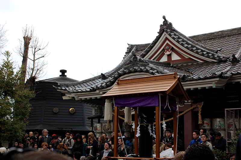 the penis mikoshi at rest