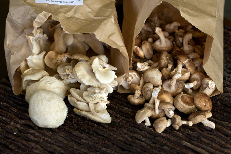 two bags of mushrooms next to each other