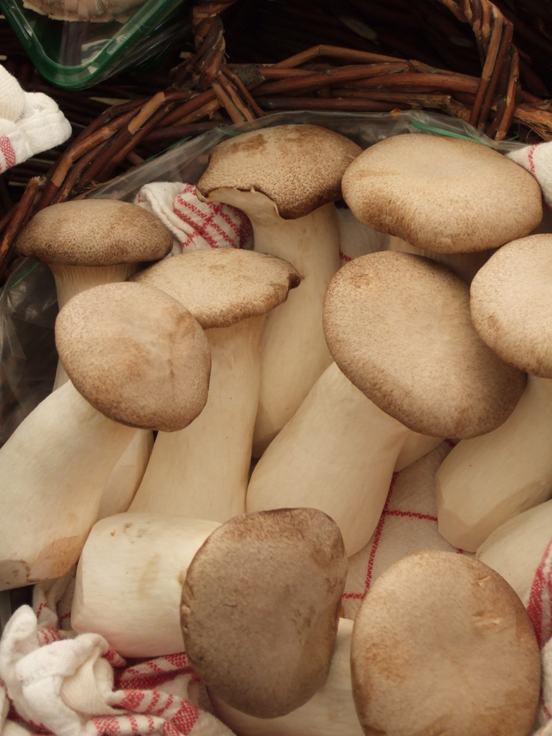 mushrooms on a white and red napkin