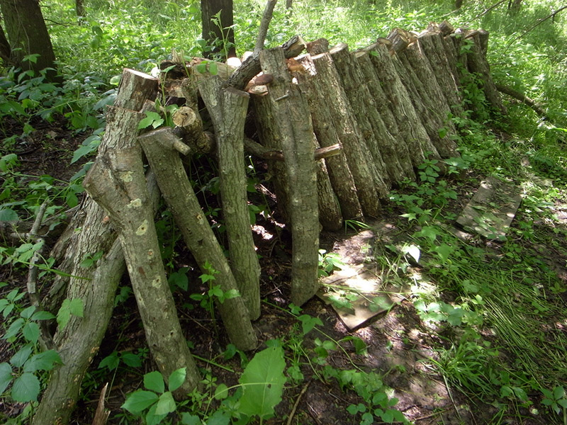 mushroom logs stacked in a field