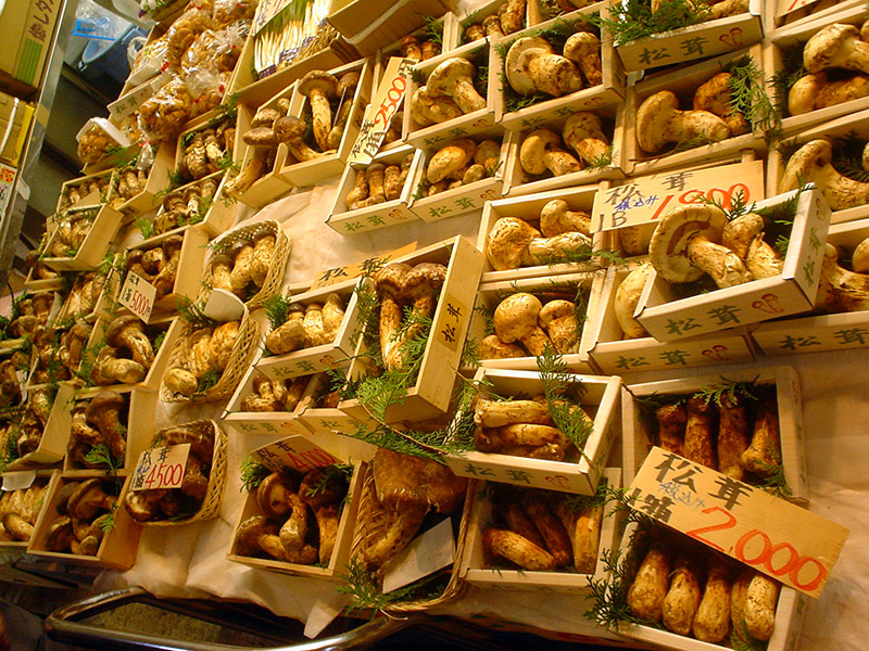 boxes of japanese mushrooms for sale