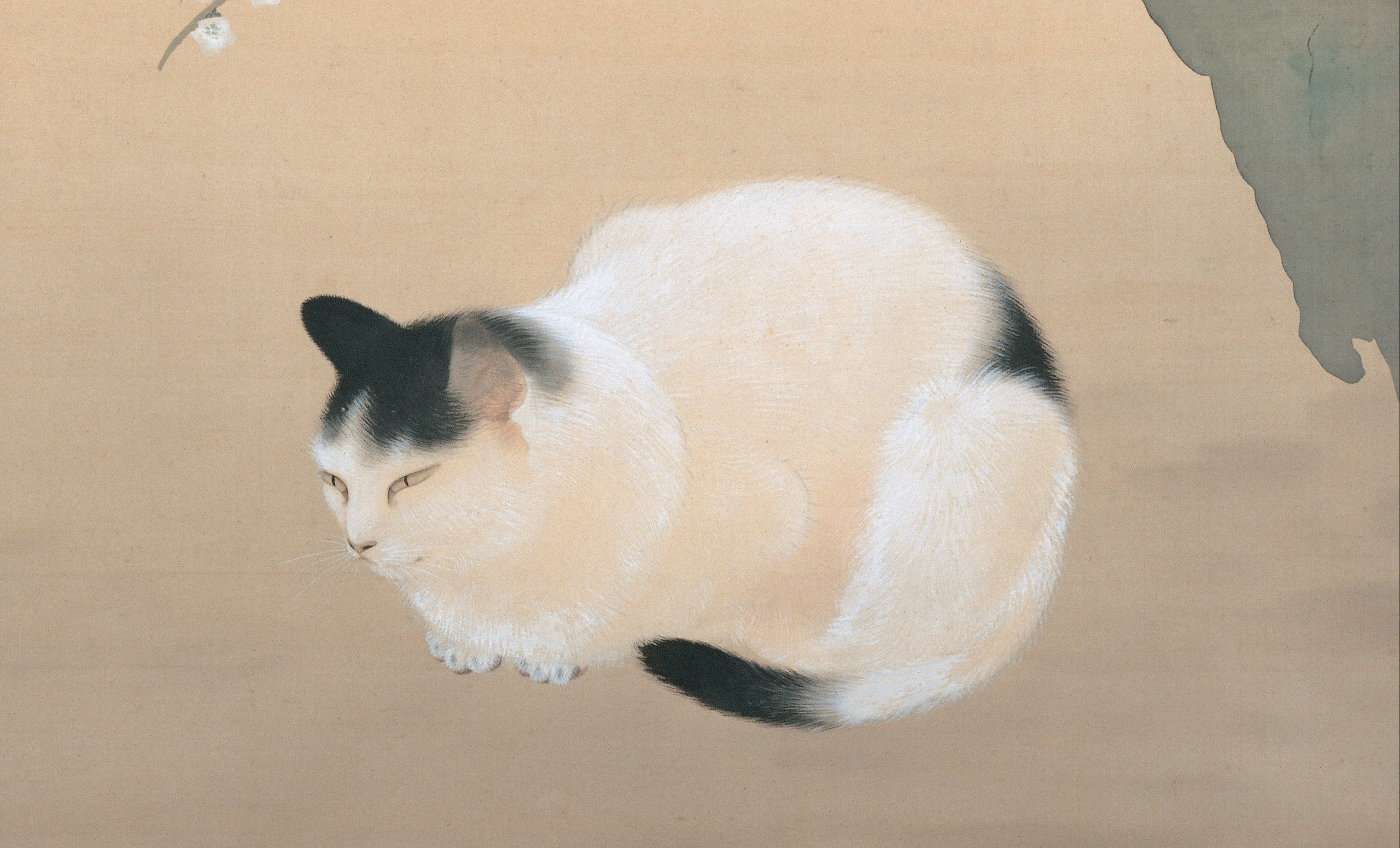 painting of black and white cat