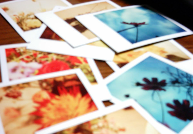 polaroids on a table