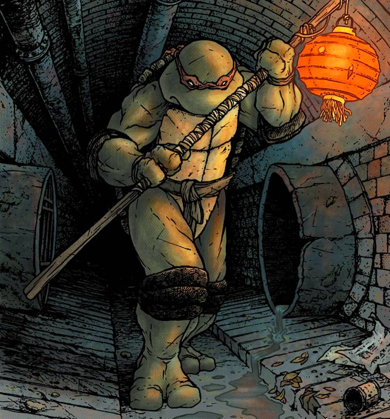 Donatello from Teenage Mutant Ninja Turtles with ancient Japanese staff