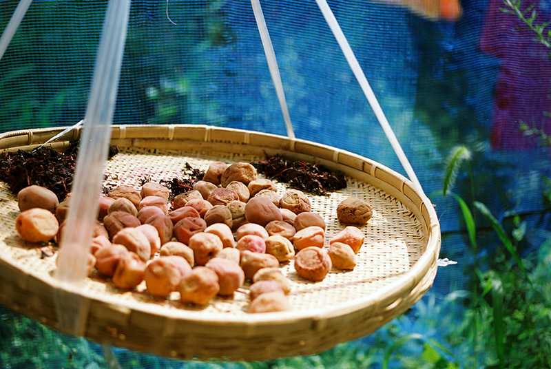 A basket of Umeboshi