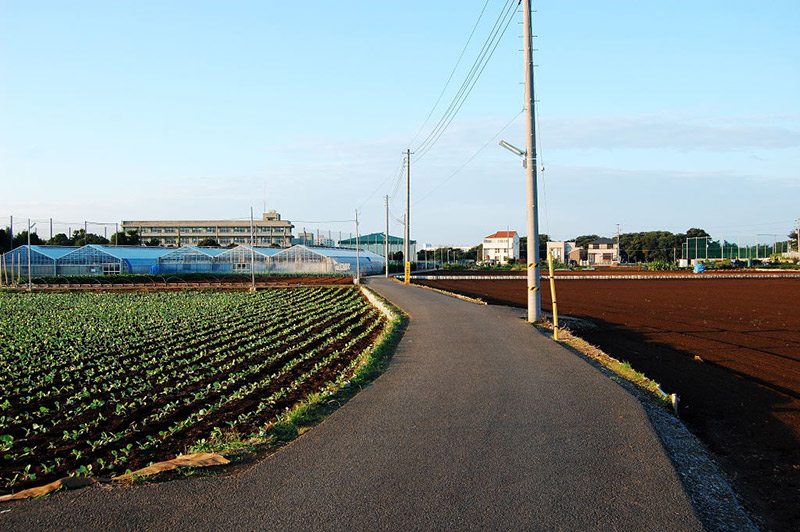 country road leading to a japanese school