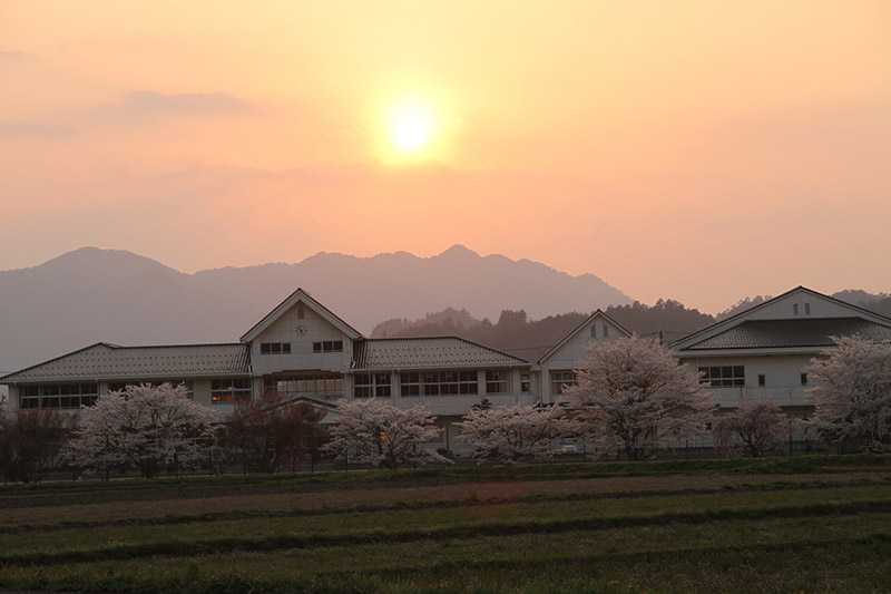 Susnet and cherry blossoms at a Japanese school