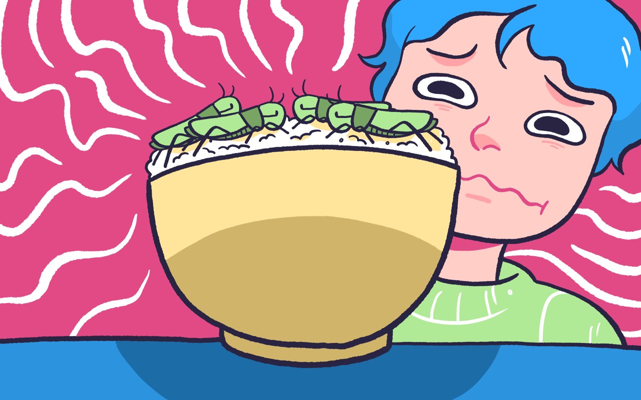 Eating Bugs in Japan History, Recipes, and More!
