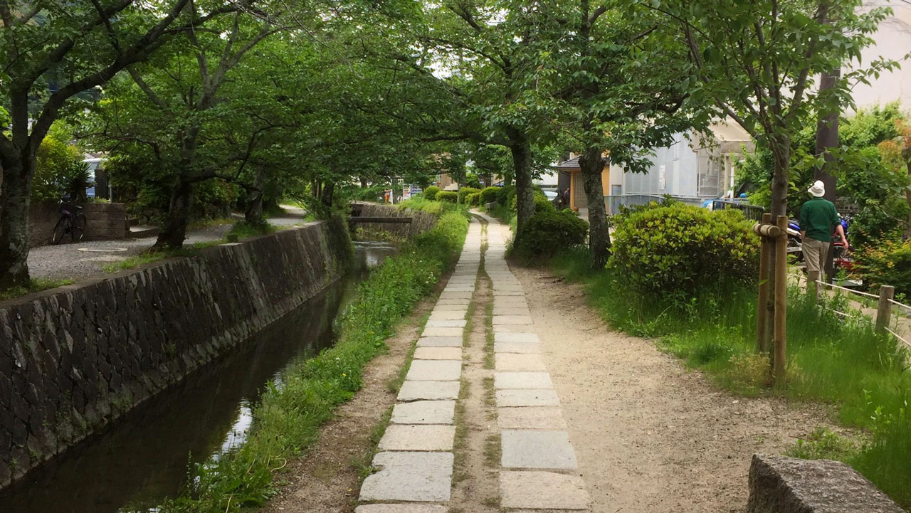 walking philosophers path one day in kyoto