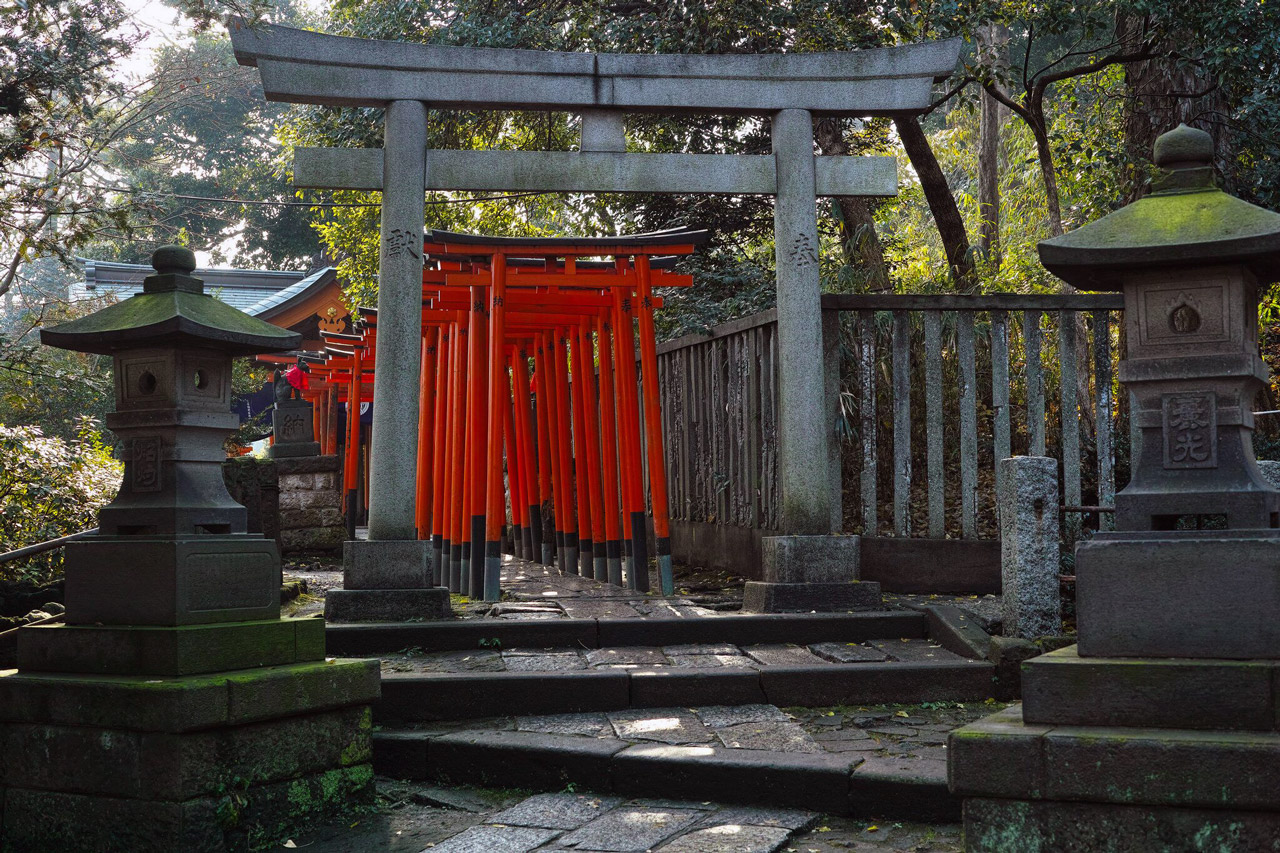 line of red torii gates at nezu shrine