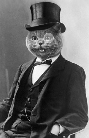 cat with top hat and monocle