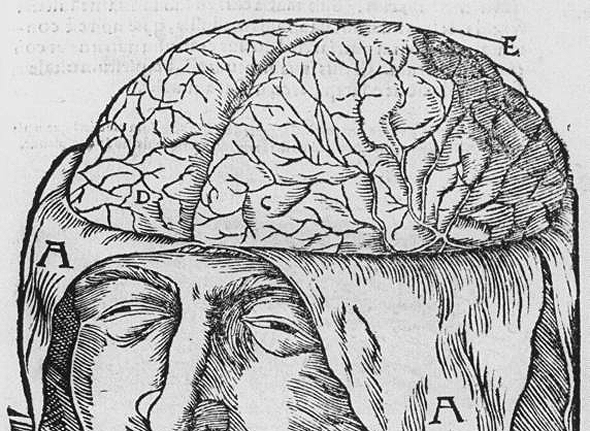 medieval illustration of the brain with letters