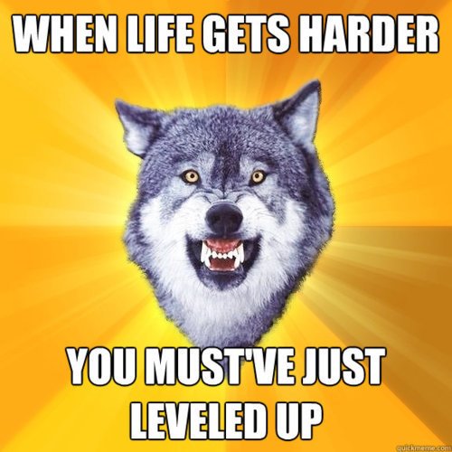 A wolf offers some wisdom