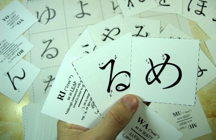 A person holding Hiragana flashcards