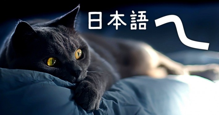 Cat on a couch passively learning Japanese