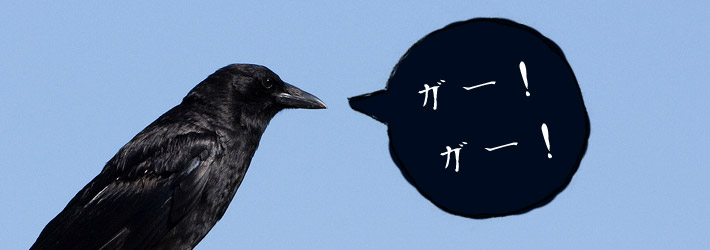 crow raven with japanese speech bubble nevermore