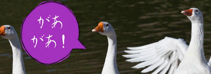 goose with japanese speech bubble