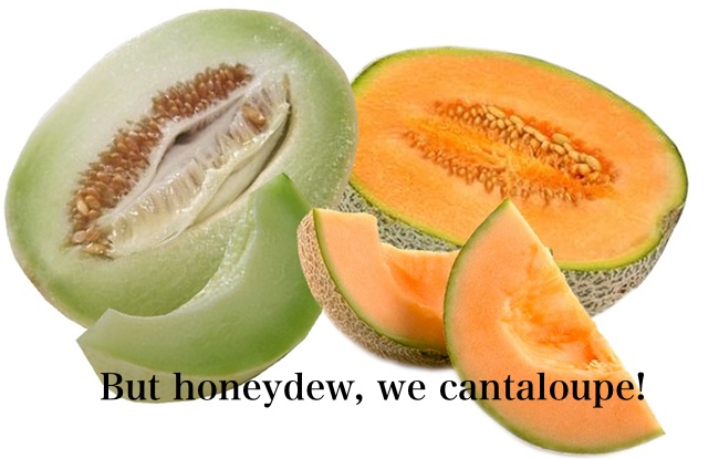 Honeydew and cantaloupe melons with text overlaid