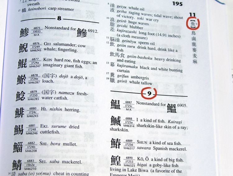 Nelson 9 radical how to use a kanji dictionary