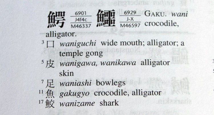 nelson wani entry closeup how to use a kanji dictionary