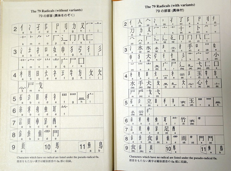 the kanji dictionary inside covers how to use