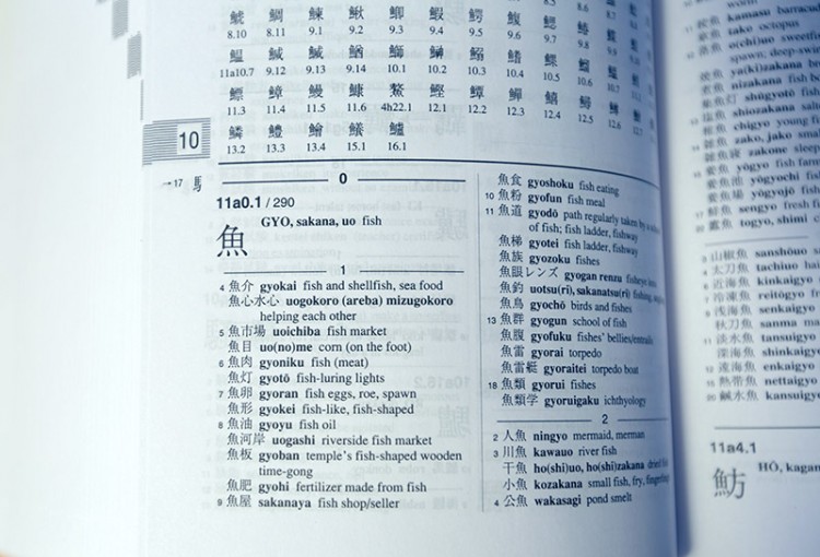 the kanji dictionary radical how to use