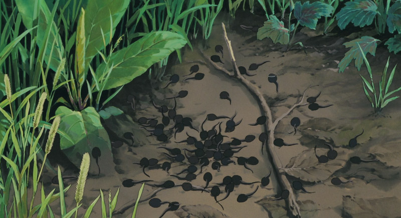 Screenshot of tadpoles in Totoro