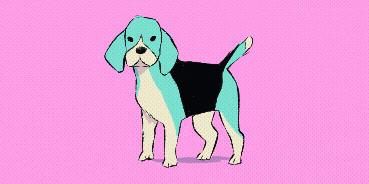 beagle on a pink background