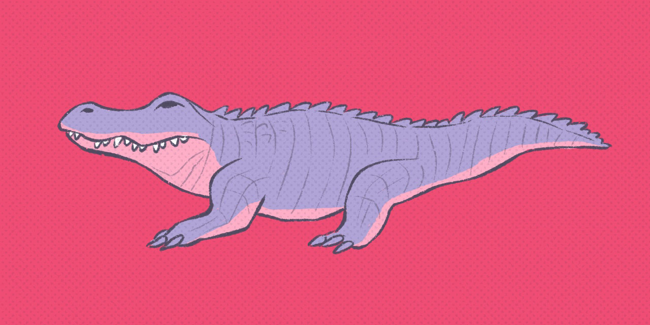 purple alligator on pink background