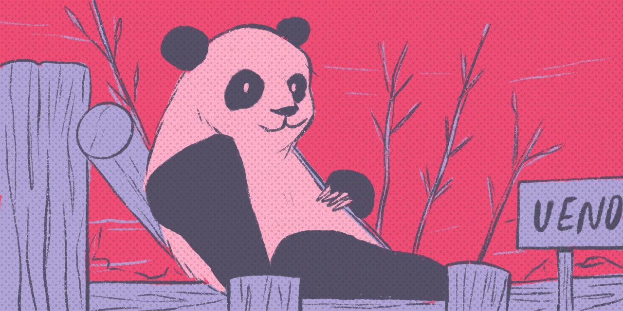 panda in ueno zoo